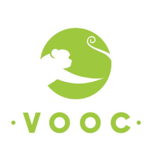 VOOC Technology